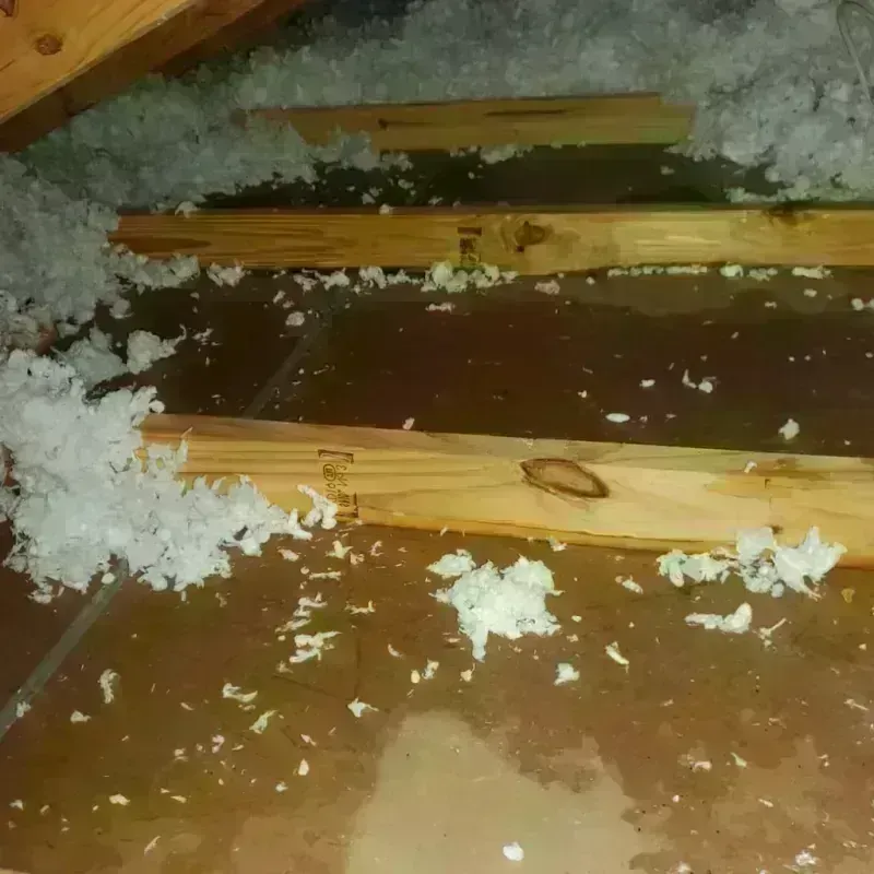 Attic Water Damage in Old Mystic, CT